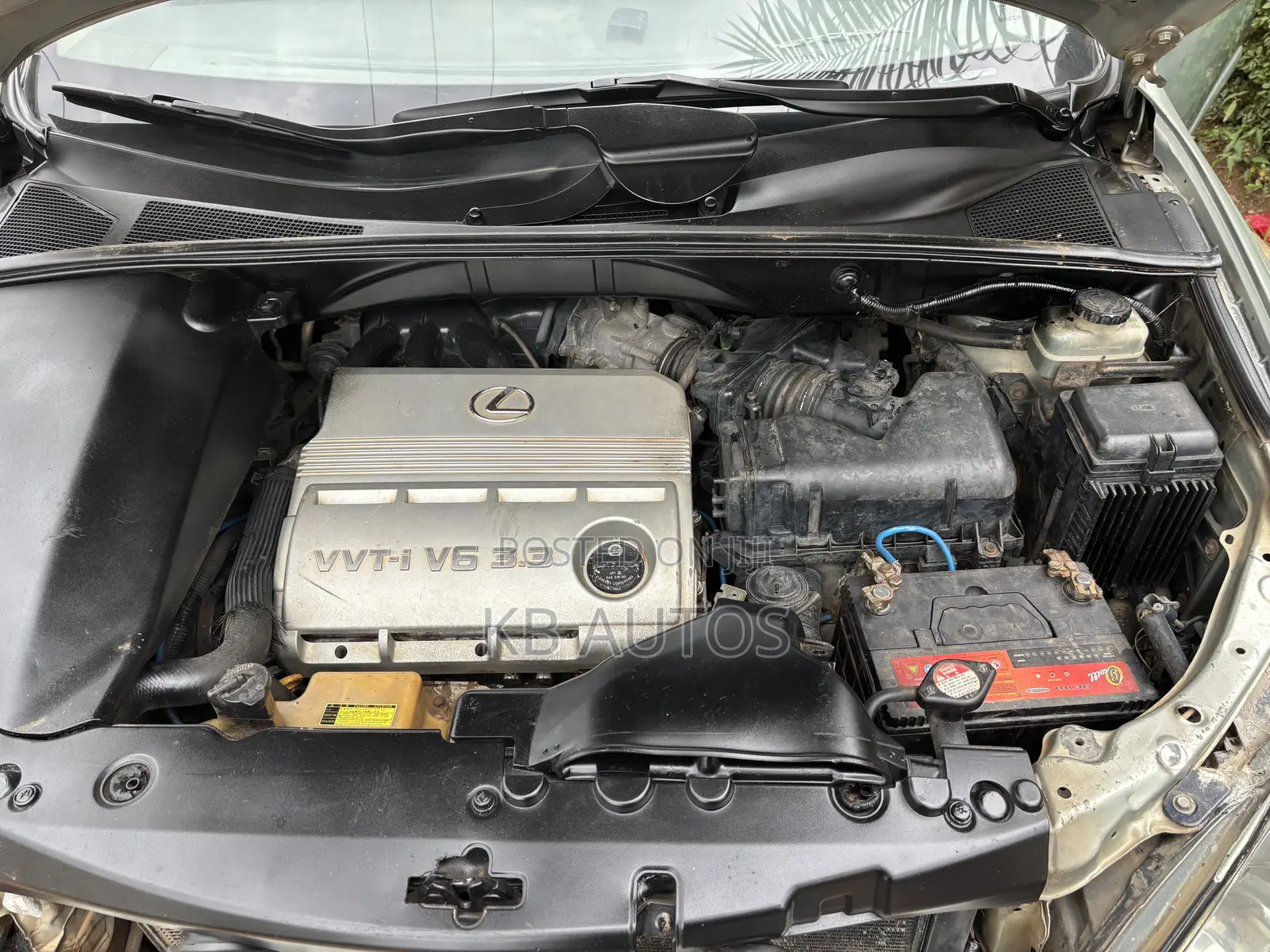 Lexus RX 2005 Green