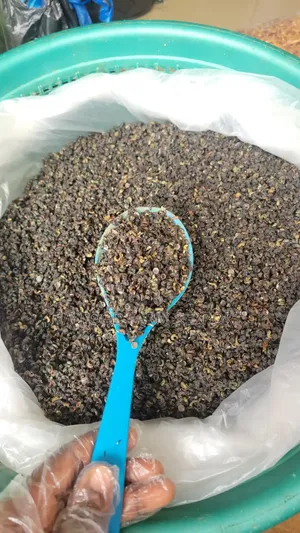 A Full Painter Periwinkle