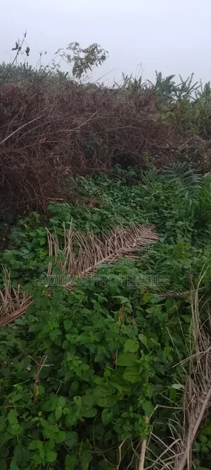 Cheap Plot of Land