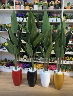 Egg Vase Planter