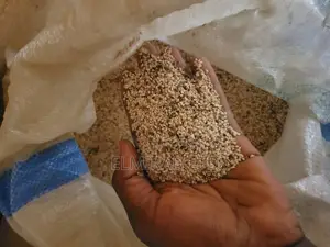 Sesame Seeds – Clean, Export Quality | Bulk Supply