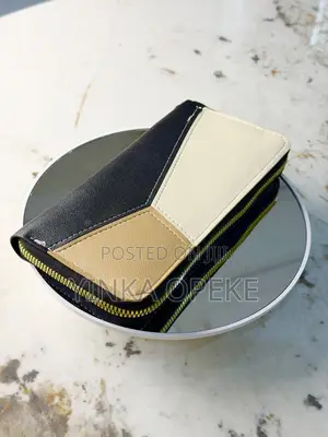Multicolored Purse