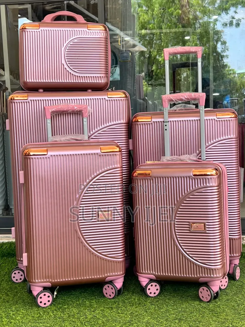 Luxury Luggage Set