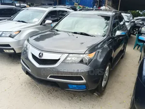 Acura MDX 2011 Gray