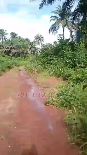 Four Plot of Land