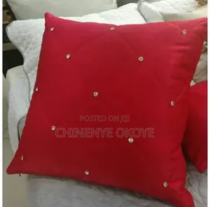 Designer Pillow