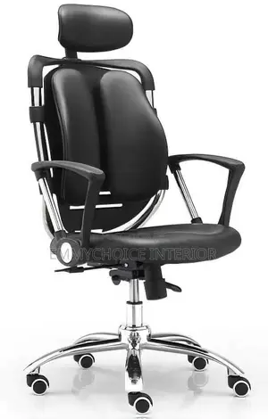 Ergonomic Executive Office Chair With Lumbar Support