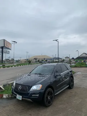 Mercedes-Benz M Class 2010 Gray