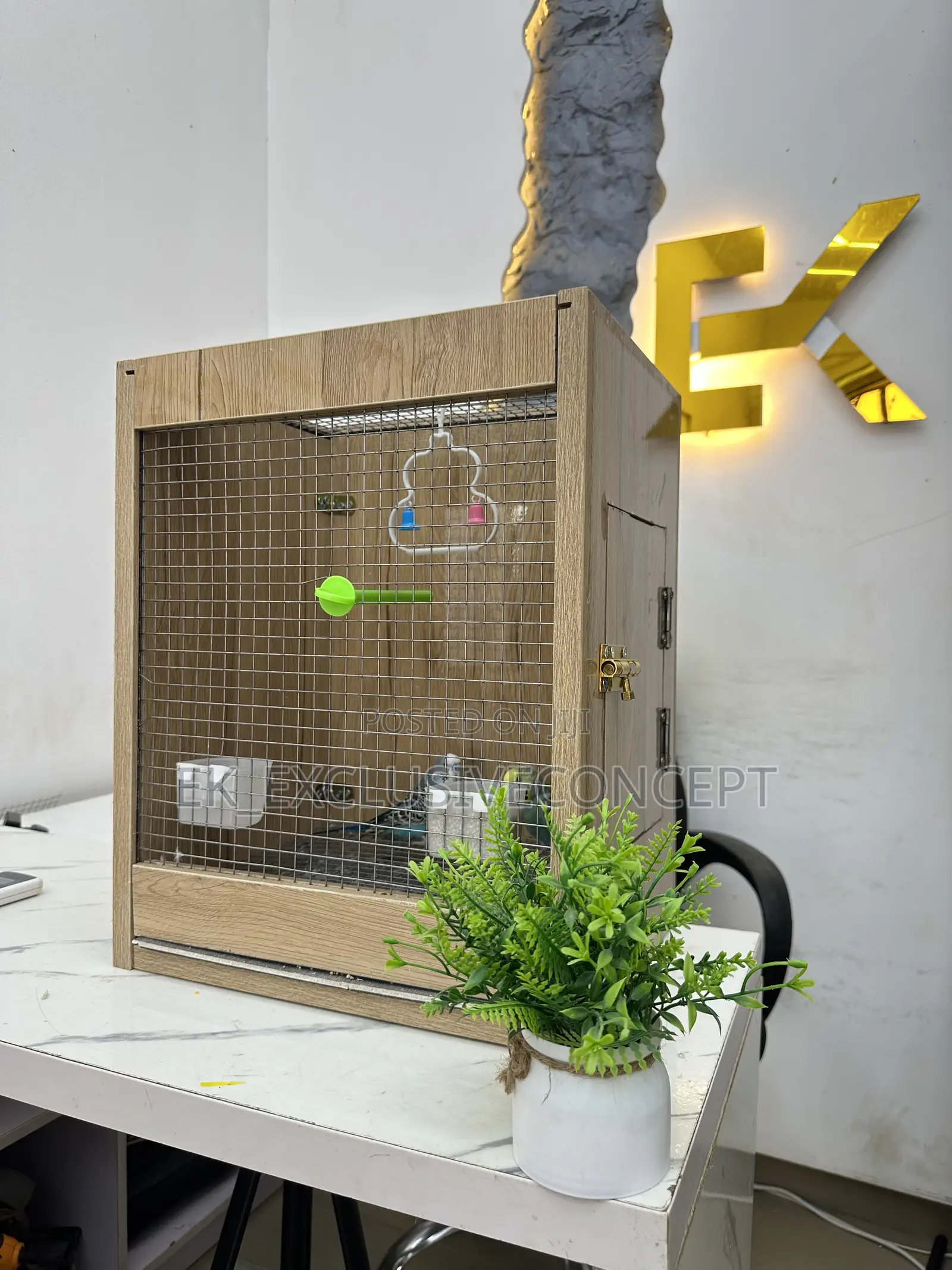 Parrot Cage