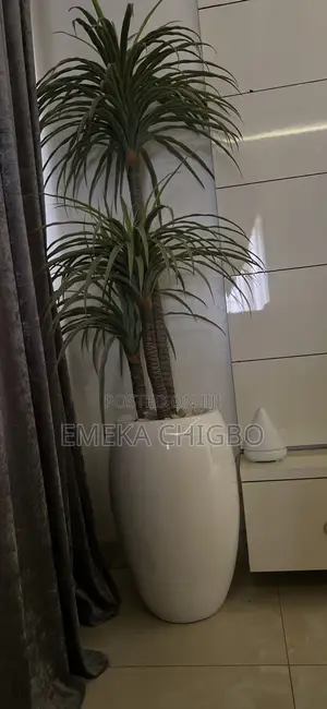 Vase Flower