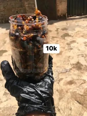 Snail Snacks