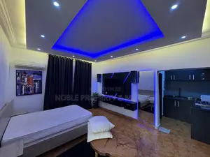 Furnished Studio Apartment in Garki 2 for rent
