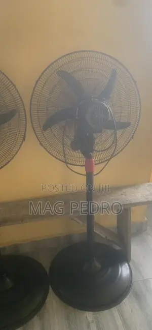 Standing Fan