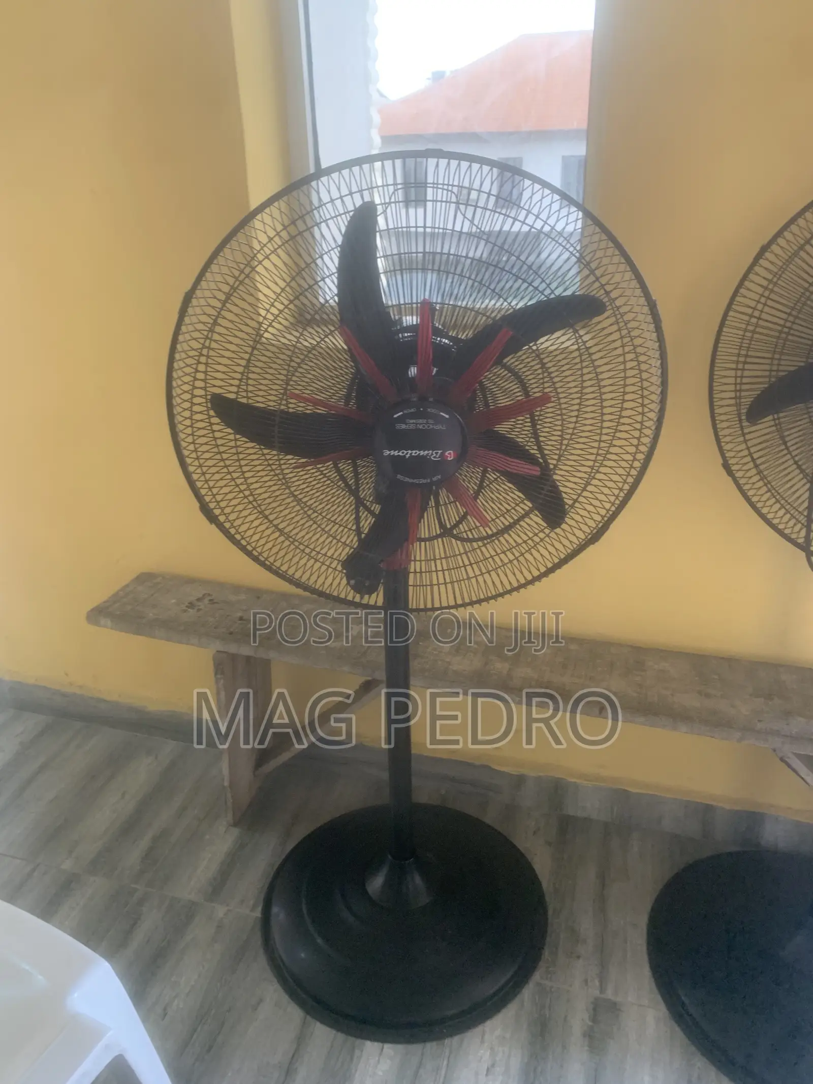 Standing Fan