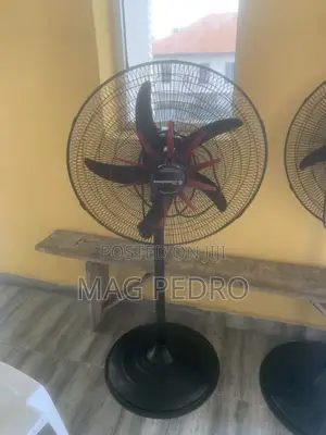Standing Fan
