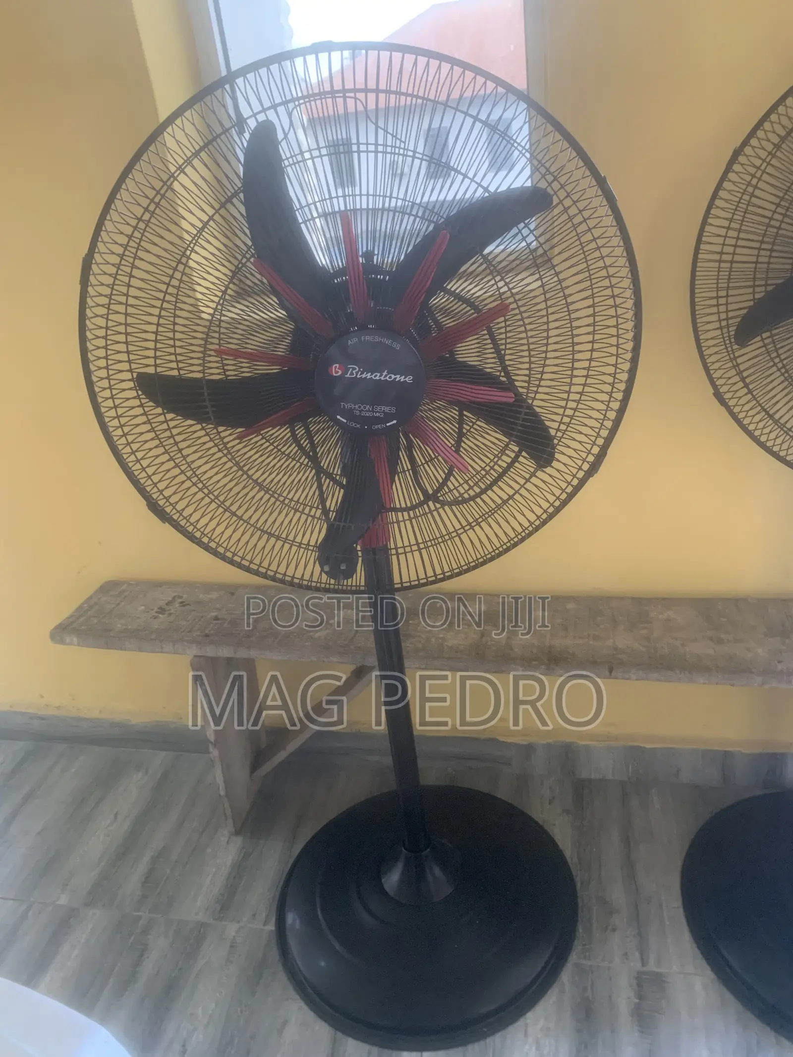 Standing Fan