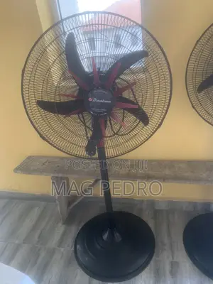 Standing Fan