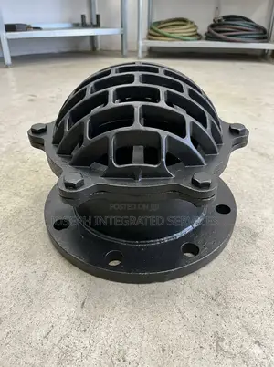 Heavy-Duty Cast Iron Flanged Foot Valve