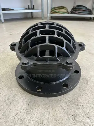 Heavy-Duty Cast Iron Flanged Foot Valve
