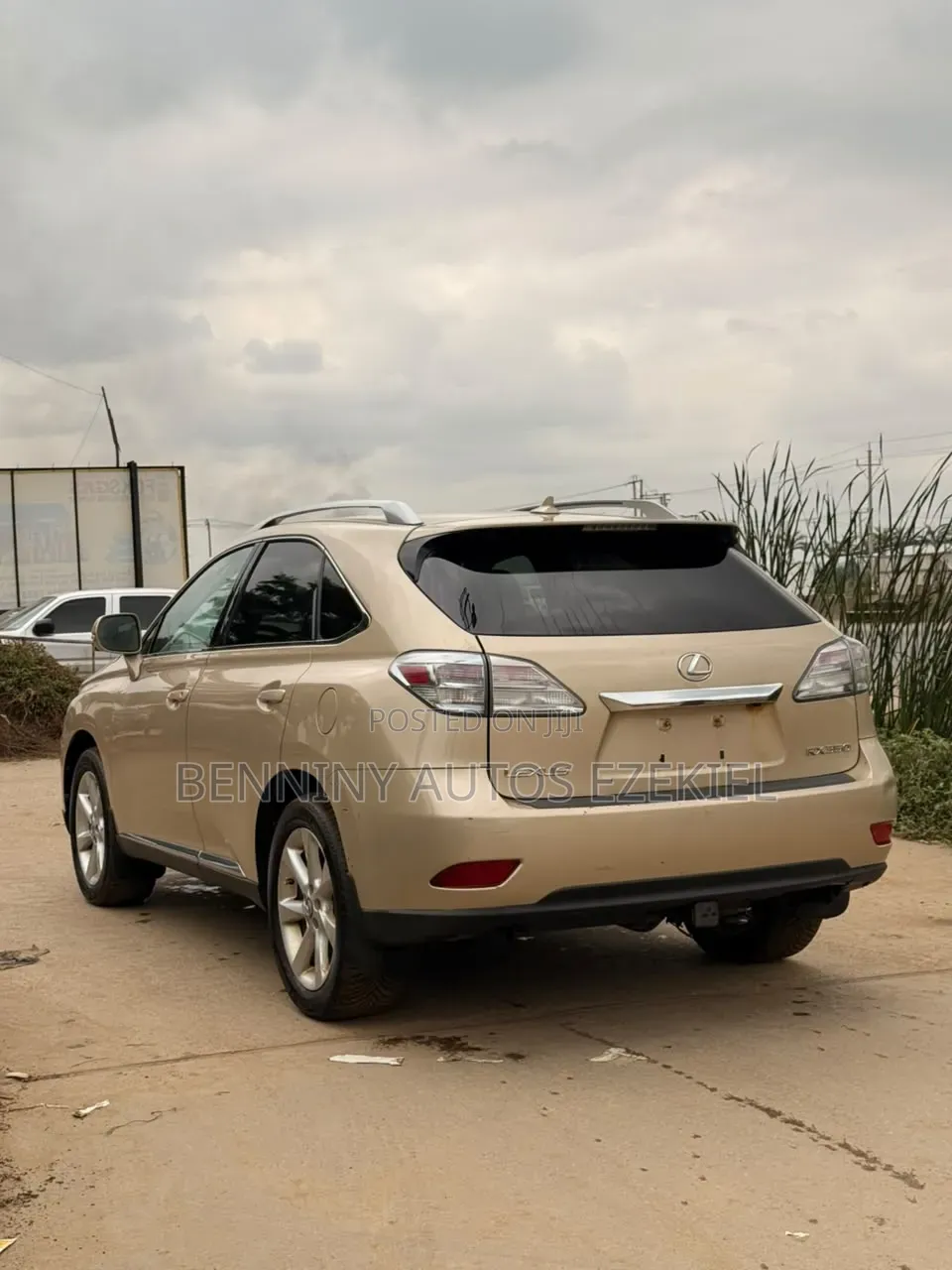 Lexus RX 2010 Gold