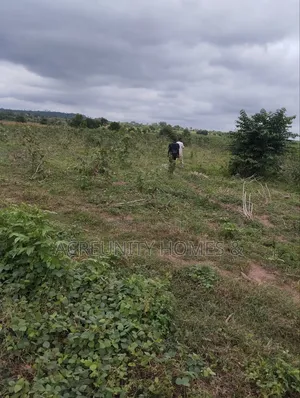 65 Acres of Farmland for Sale at Shaki Road Area Market, Otu Itesiwaju