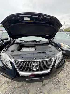 Lexus RX 350 2010 Black