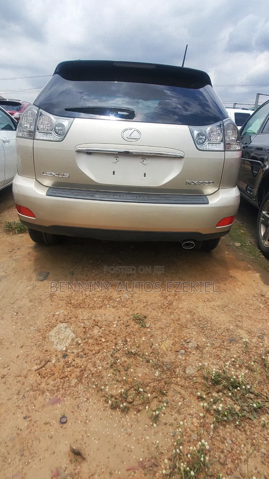 Lexus RX 2005 Gold