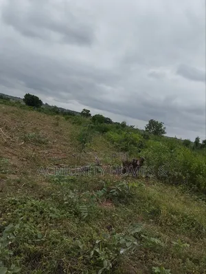 10 Acres of Farmland for Sale at Ago Village, Sirafu, Iseyin Oyo State