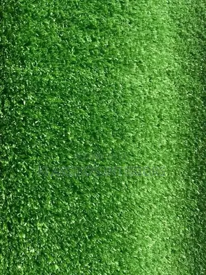 Carpet Grass for Home