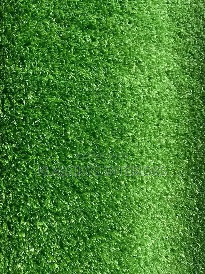 Carpet Grass for Home