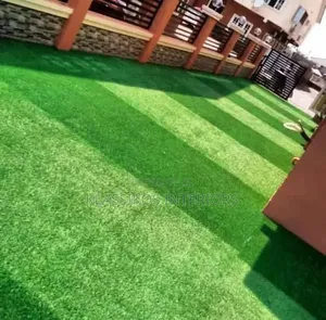 Carpet Grass for Home