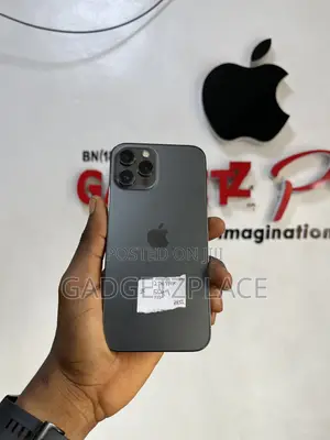 Apple iPhone 12 Pro Max 512 GB Gray