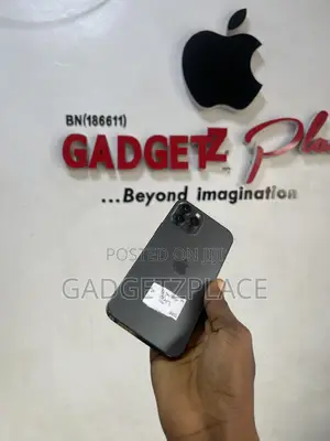 Apple iPhone 12 Pro Max 512 GB Gray