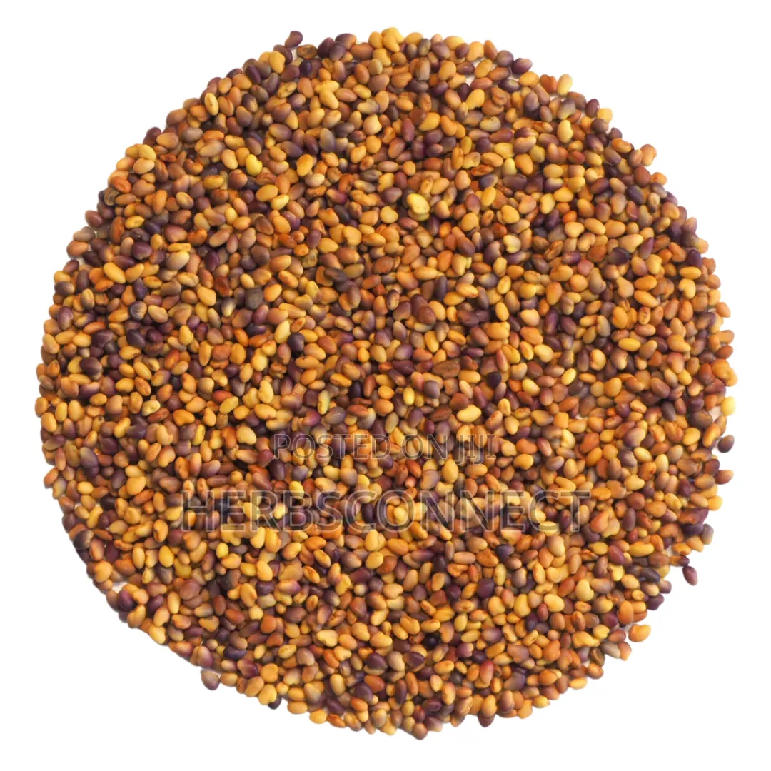 Organic Clover Seeds