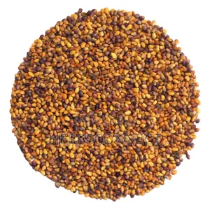 Organic Clover Seeds