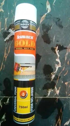 Asnian GOLD Universal Multi Foam 750ml (Expanding Foam Sealant)