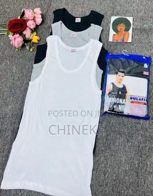 Your 3in1 (3 Color) Singlet