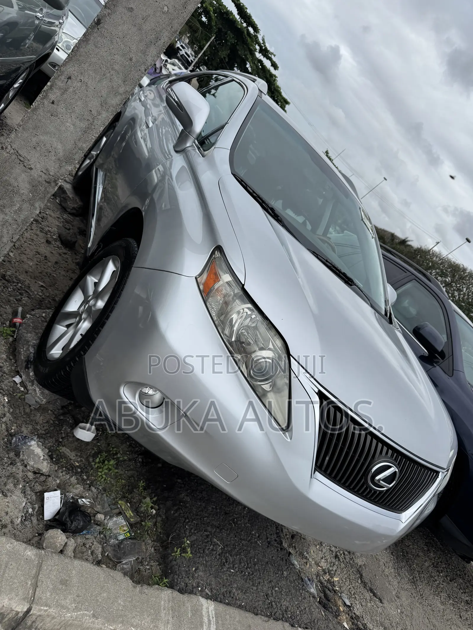 Lexus RX 350 2010 Silver