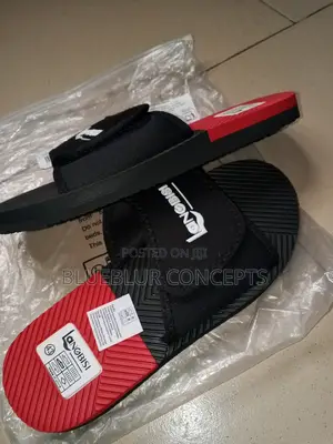 Slide, Slippers, Palm Casual Wesr