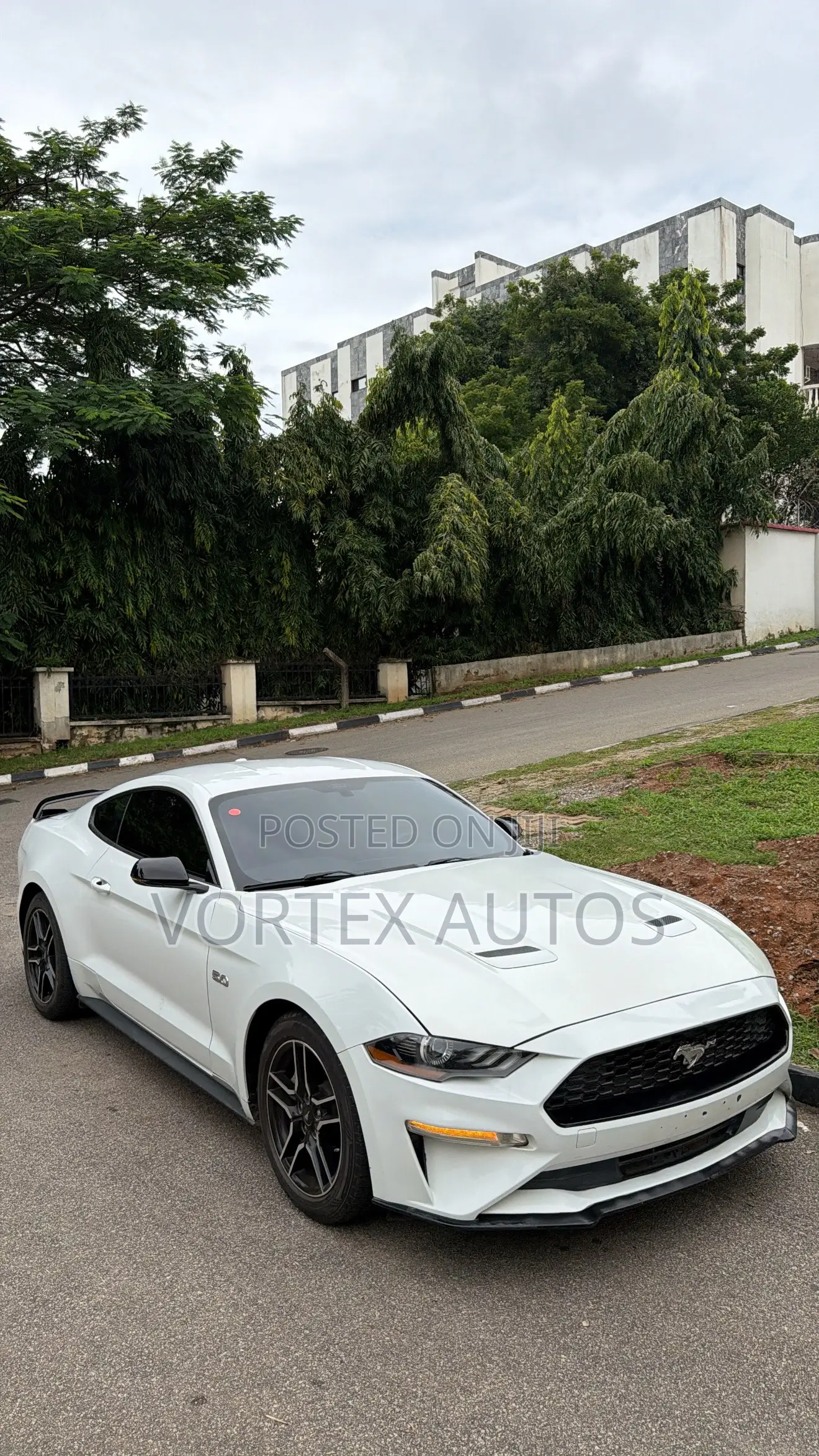 Ford Mustang GT Fastback 2019 White