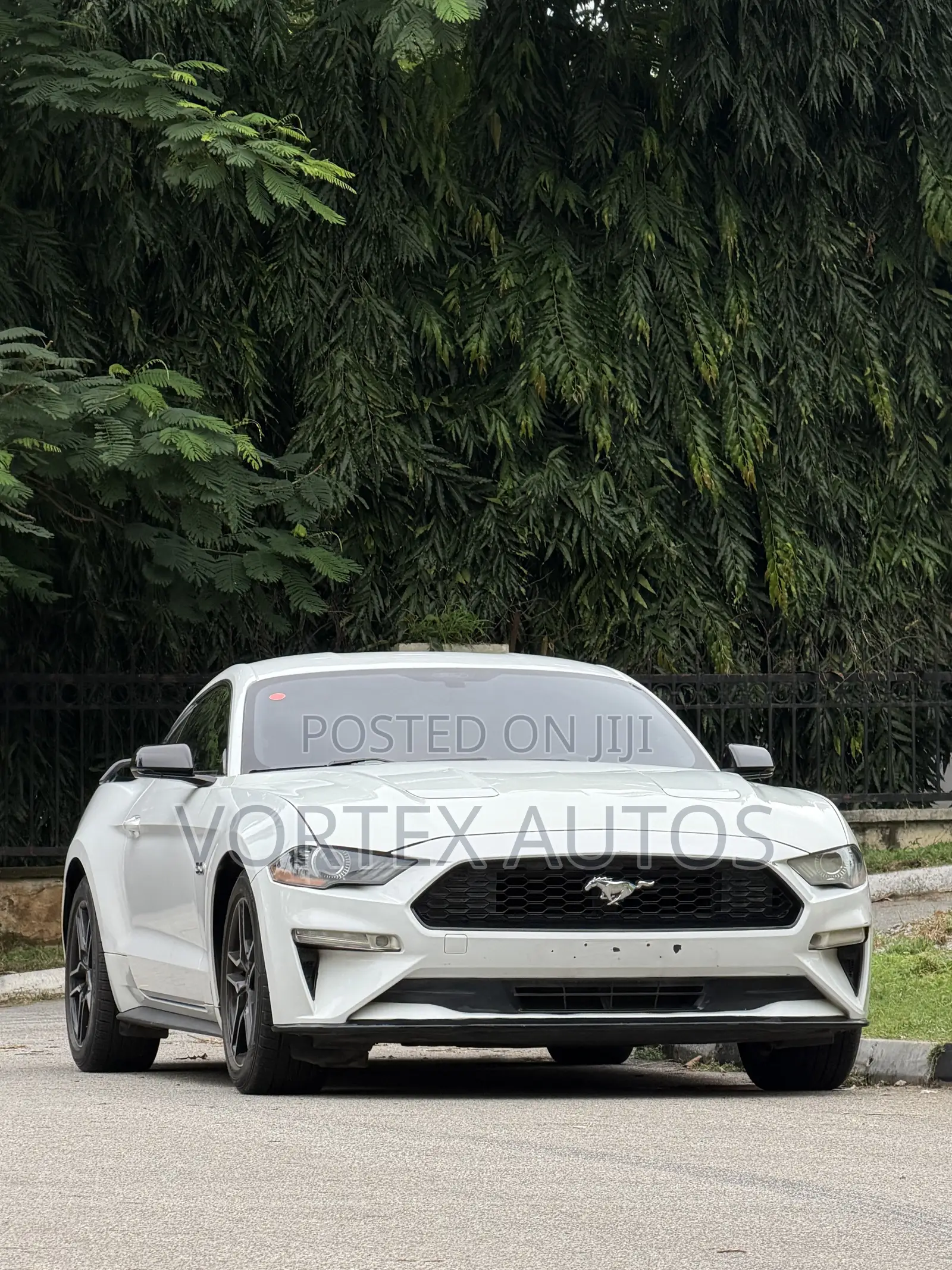 Ford Mustang GT Fastback 2019 White