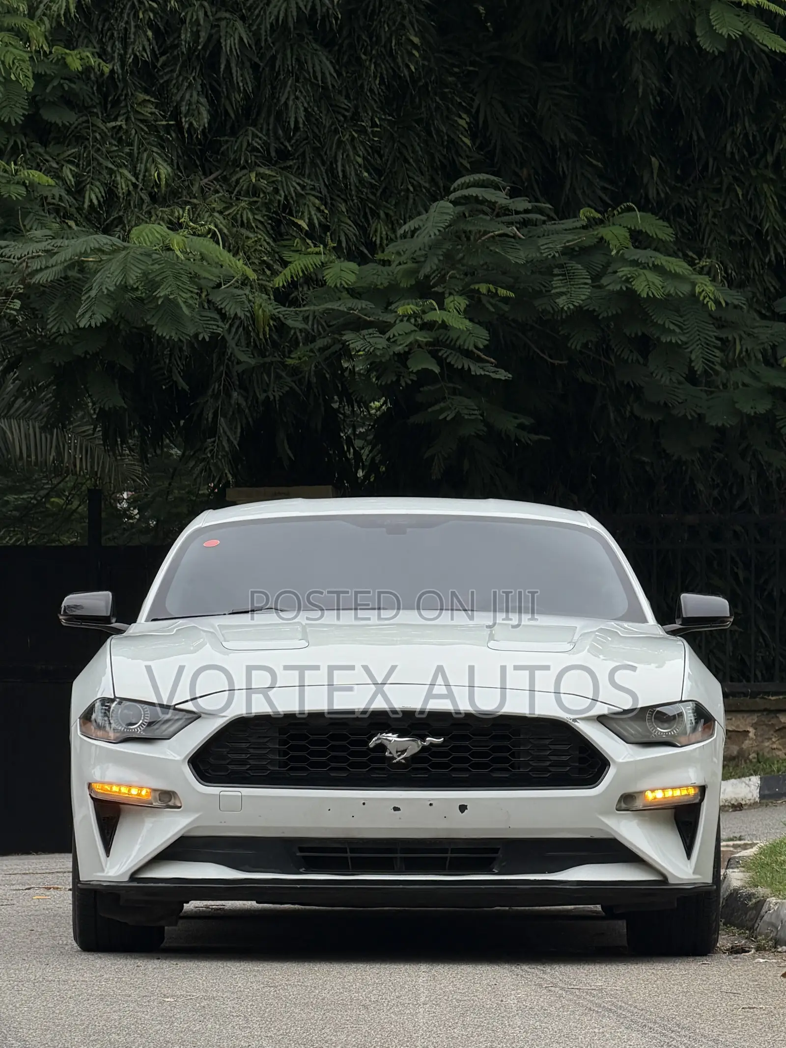 Ford Mustang GT Fastback 2019 White
