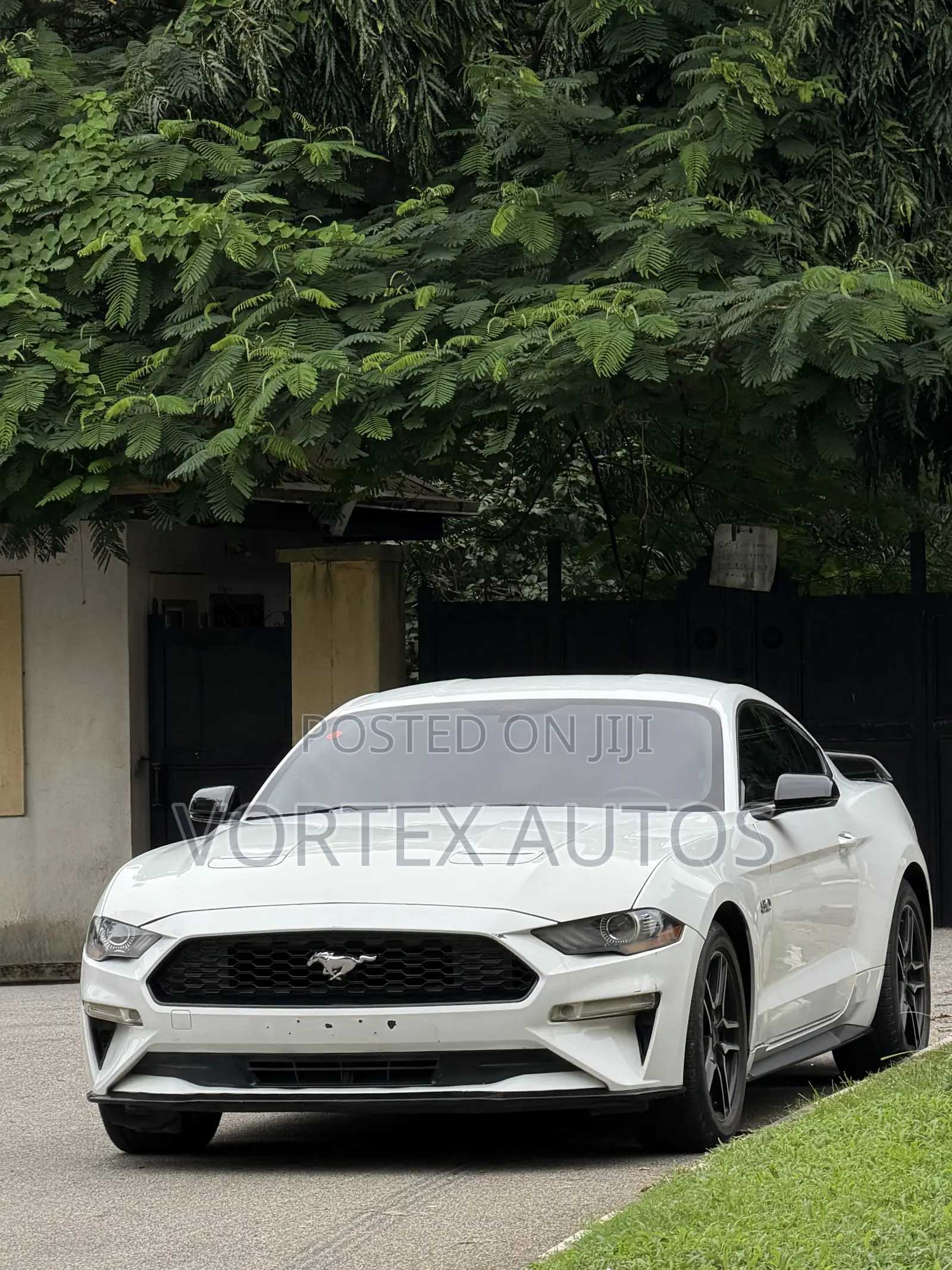 Ford Mustang GT Fastback 2019 White