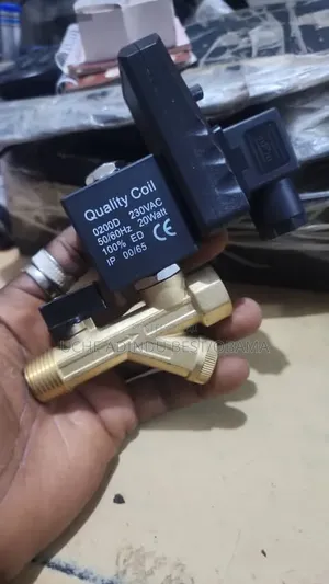 Automatic Drain Valve With Timer 220v