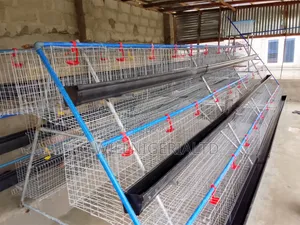 We Make Battery Cage for Poultry Layers. Half Unit for 