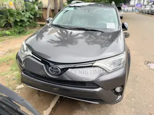 Toyota RAV4 XLE AWD (2.5L 4cyl 6A) 2017 Gray