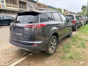Toyota RAV4 XLE AWD (2.5L 4cyl 6A) 2017 Gray