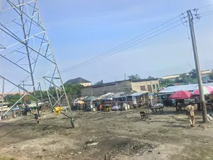 Certificate of Occupancy