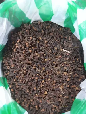 Cloves Seed
