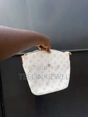 Ladies Hand Bag